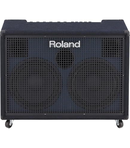 Amazon.com: Roland KC-220 Battery-Powered Stereo Keyboard